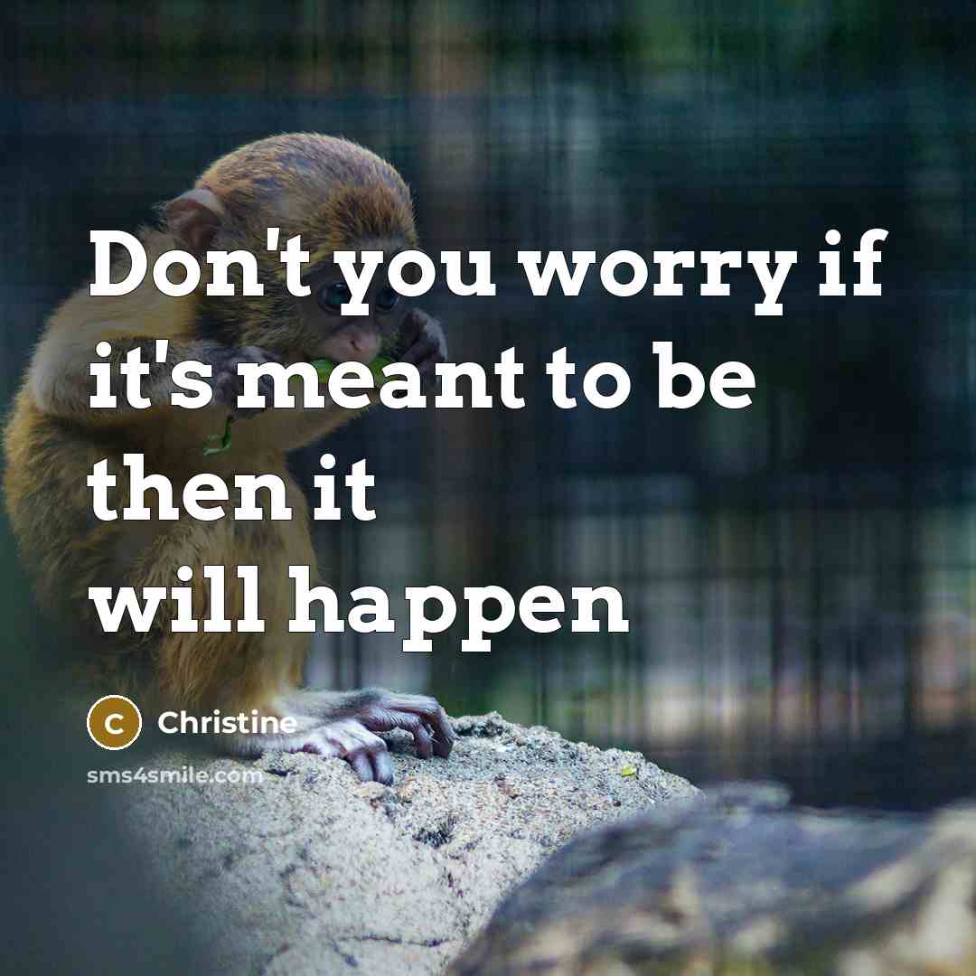 “Don't you worry if it's meant to be then it…” quote by Christine