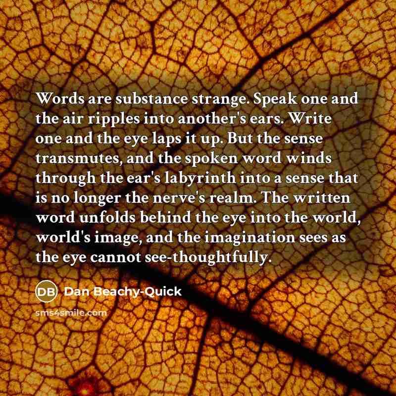 “Words are substance strange. Speak one and the air ripples…” quote by Dan Beachy-Quick