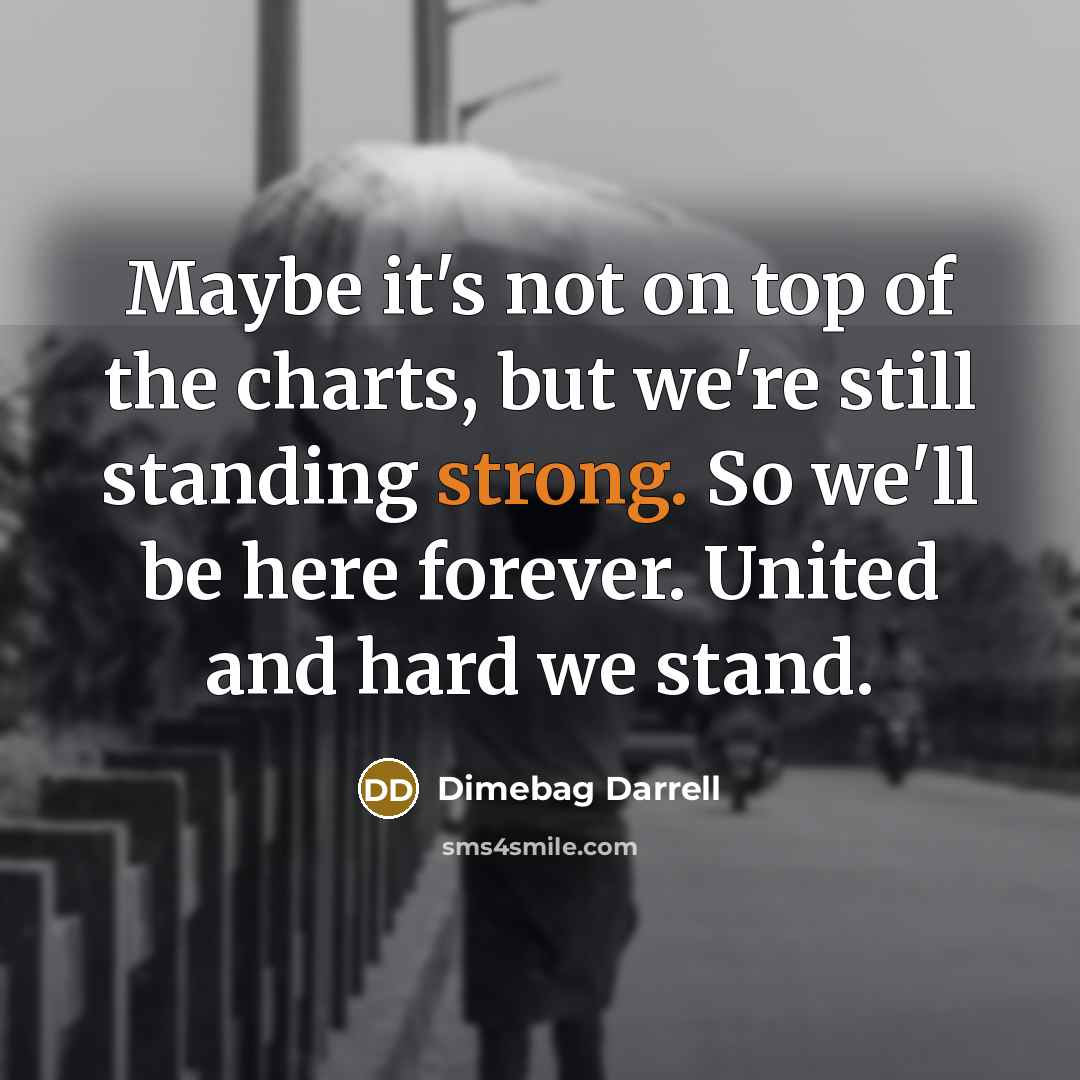 “Maybe it's not on top of the charts, but we're still standing strong. So we'll be here forever. United and hard we stand.” quote by Dimebag Darrell