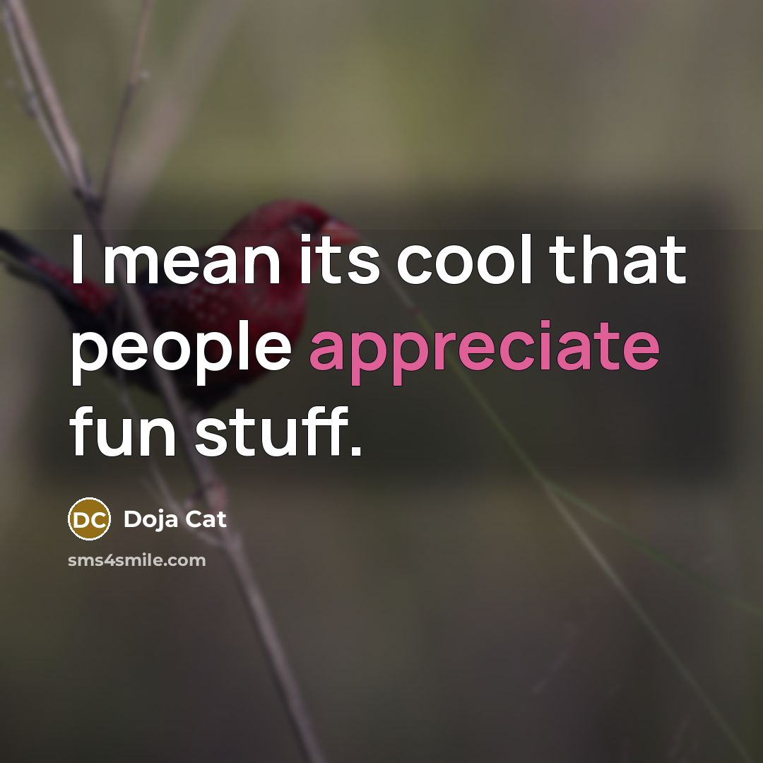 “I mean its cool that people appreciate fun stuff.…” quote by Doja Cat