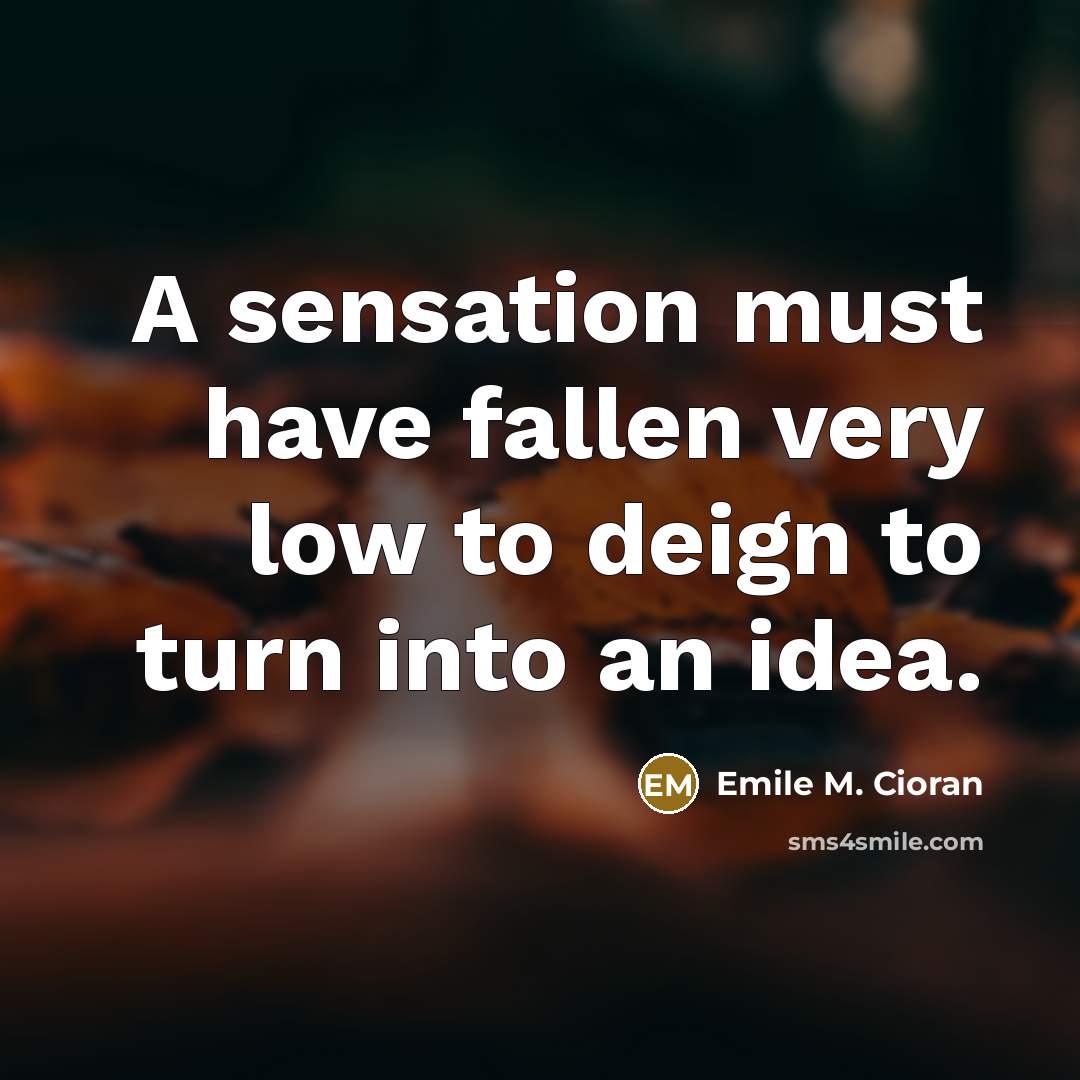 “A sensation must have fallen very low to deign to…” quote by Emile M. Cioran
