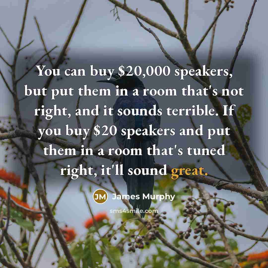 “You can buy $20,000 speakers, but put them in a…” quote by James Murphy
