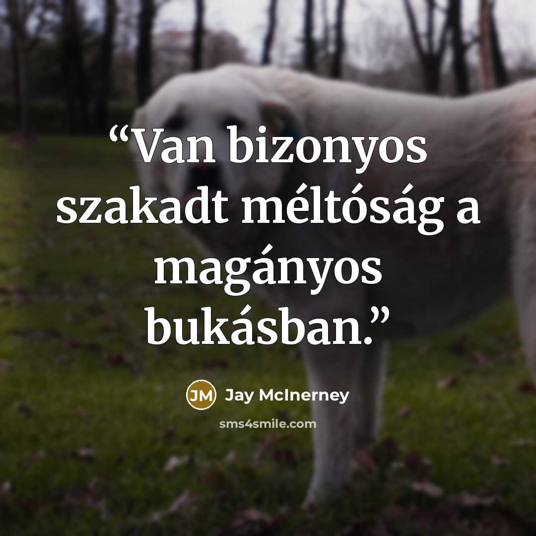 “Van bizonyos szakadt méltóság a magányos bukásban.” quote by Jay McInerney