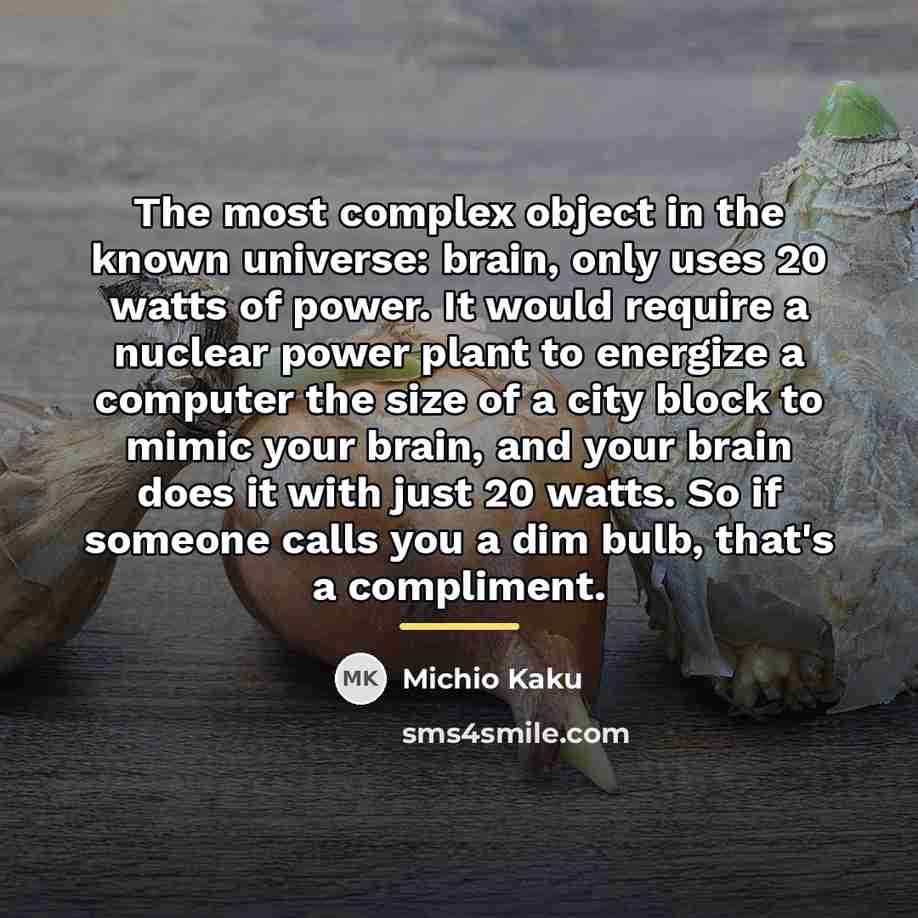 “The most complex object in the known universe: brain, only…” quote by Michio Kaku