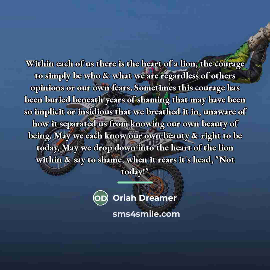 “Within each of us there is the heart of a…” quote by Oriah Dreamer