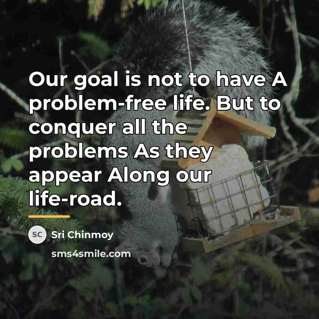 “Our goal is not to have A problem-free life. But…” quote by Sri Chinmoy
