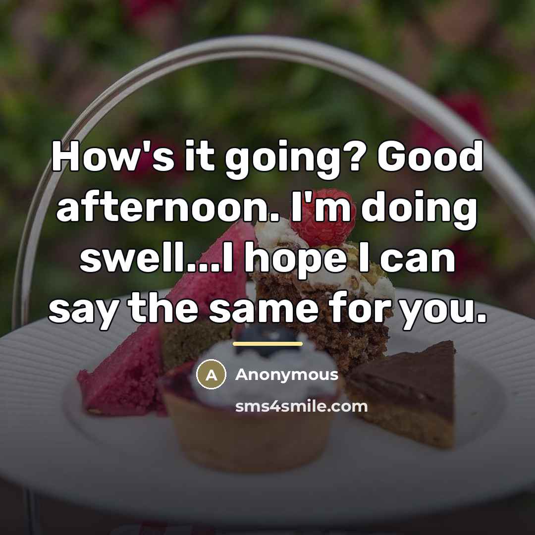 “How's it going? Good afternoon. I'm doing swell...I hope I…” quote by Anonymous