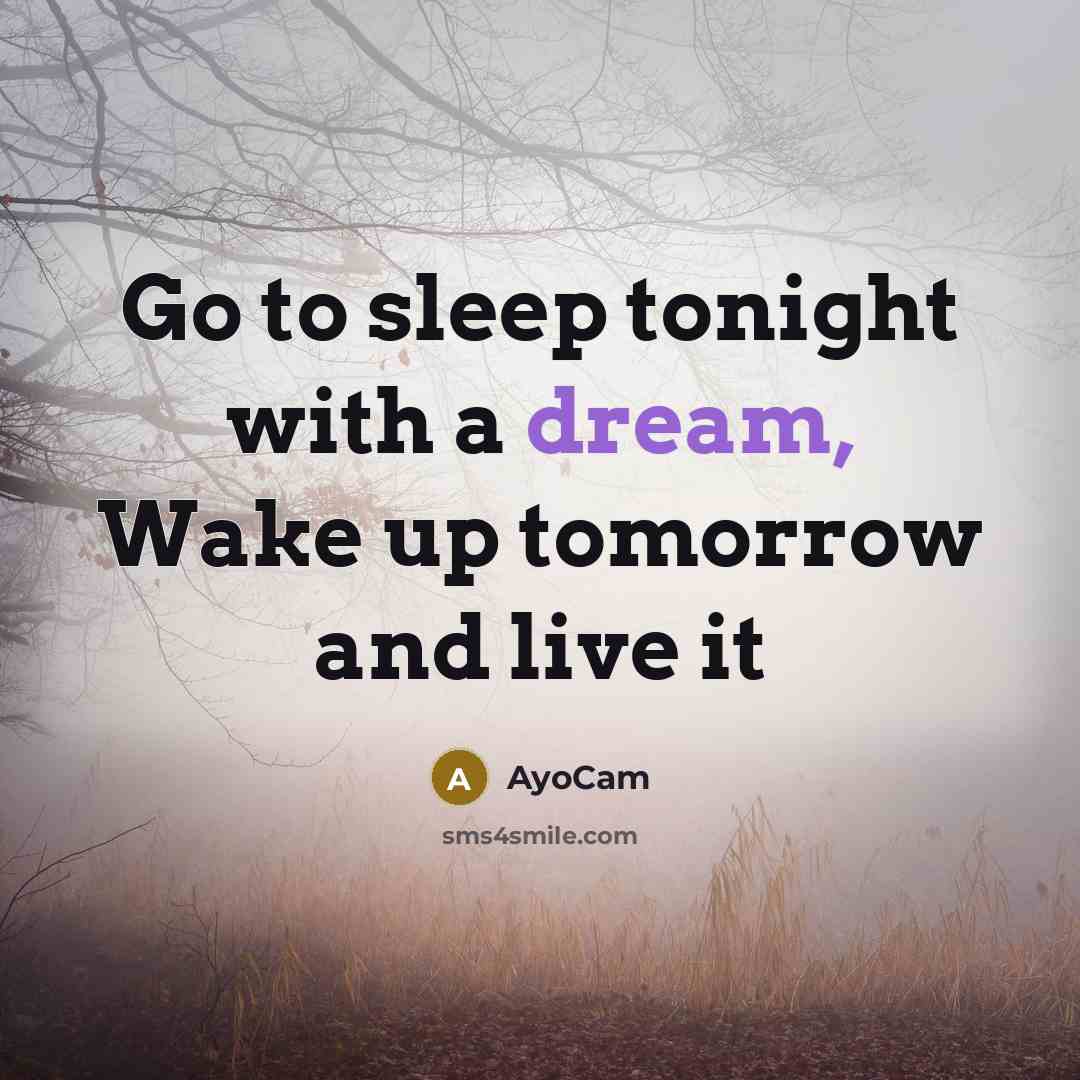 “Go to sleep tonight with a dream, Wake up tomorrow and live it” quote by AyoCam