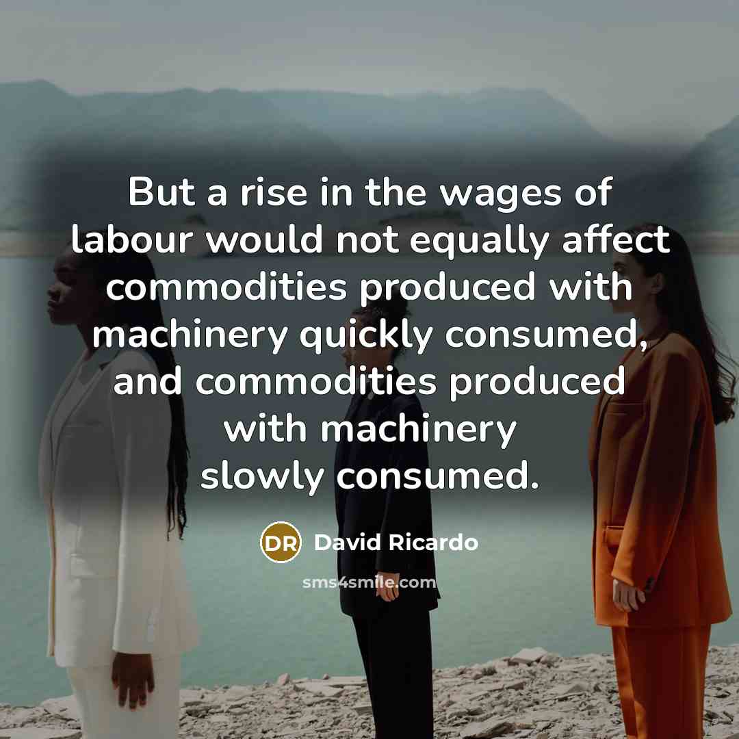 “But a rise in the wages of labour would not…” quote by David Ricardo