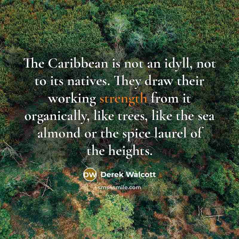 “The Caribbean is not an idyll, not to its natives.…” quote by Derek Walcott