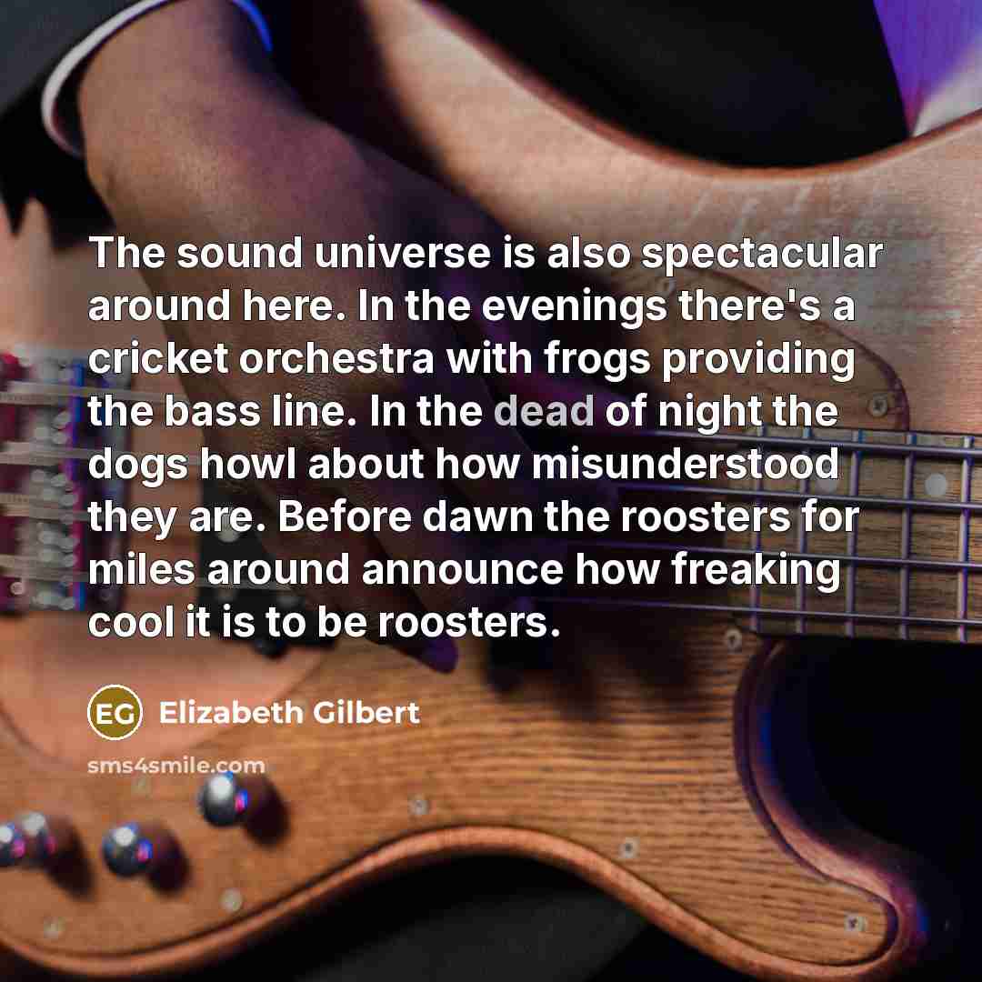 “The sound universe is also spectacular around here. In the…” quote by Elizabeth Gilbert