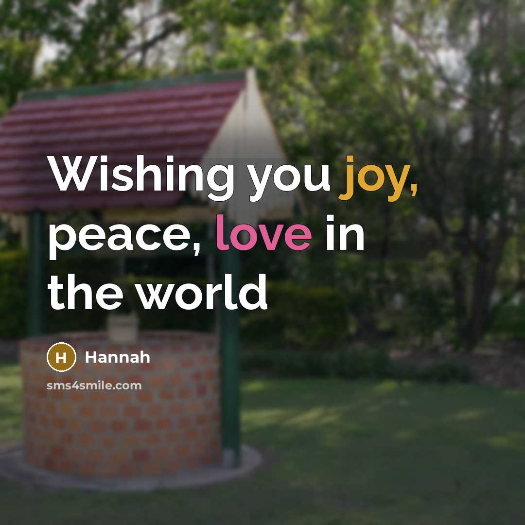 “Wishing you joy, peace, love in the world…” quote by Hannah