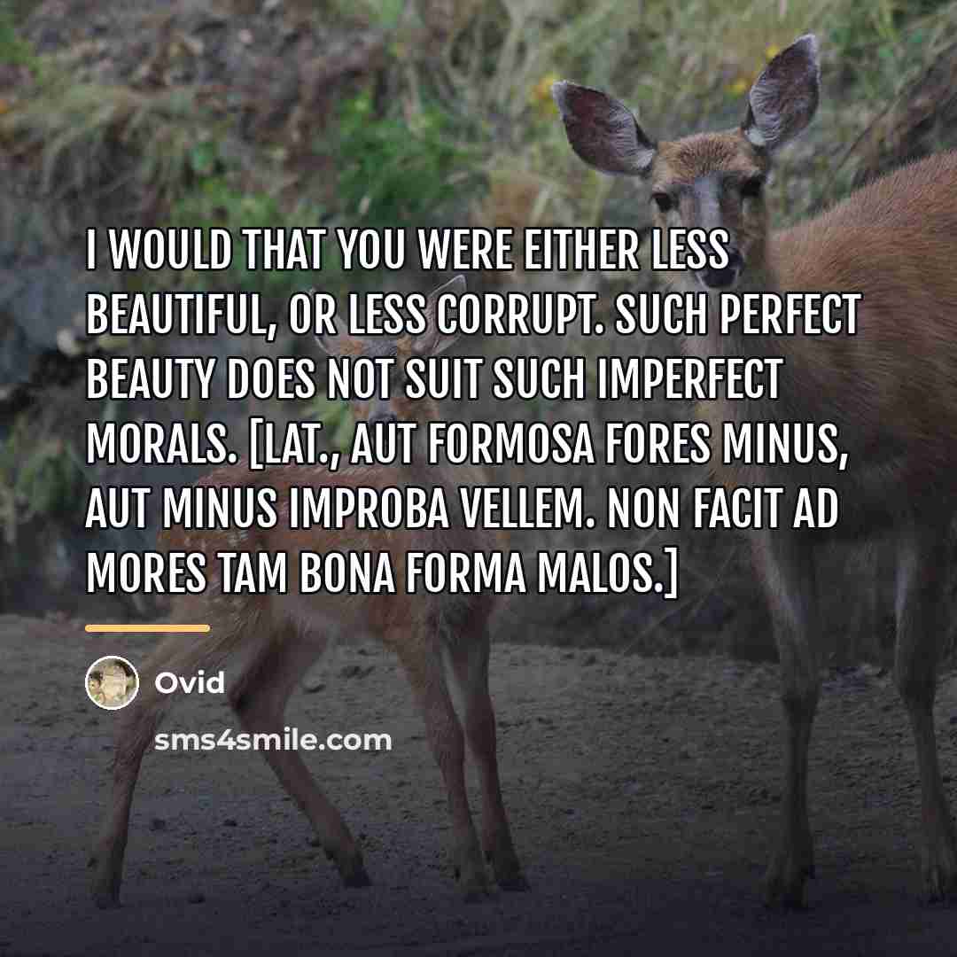 “I would that you were either less beautiful, or less…” quote by Ovid