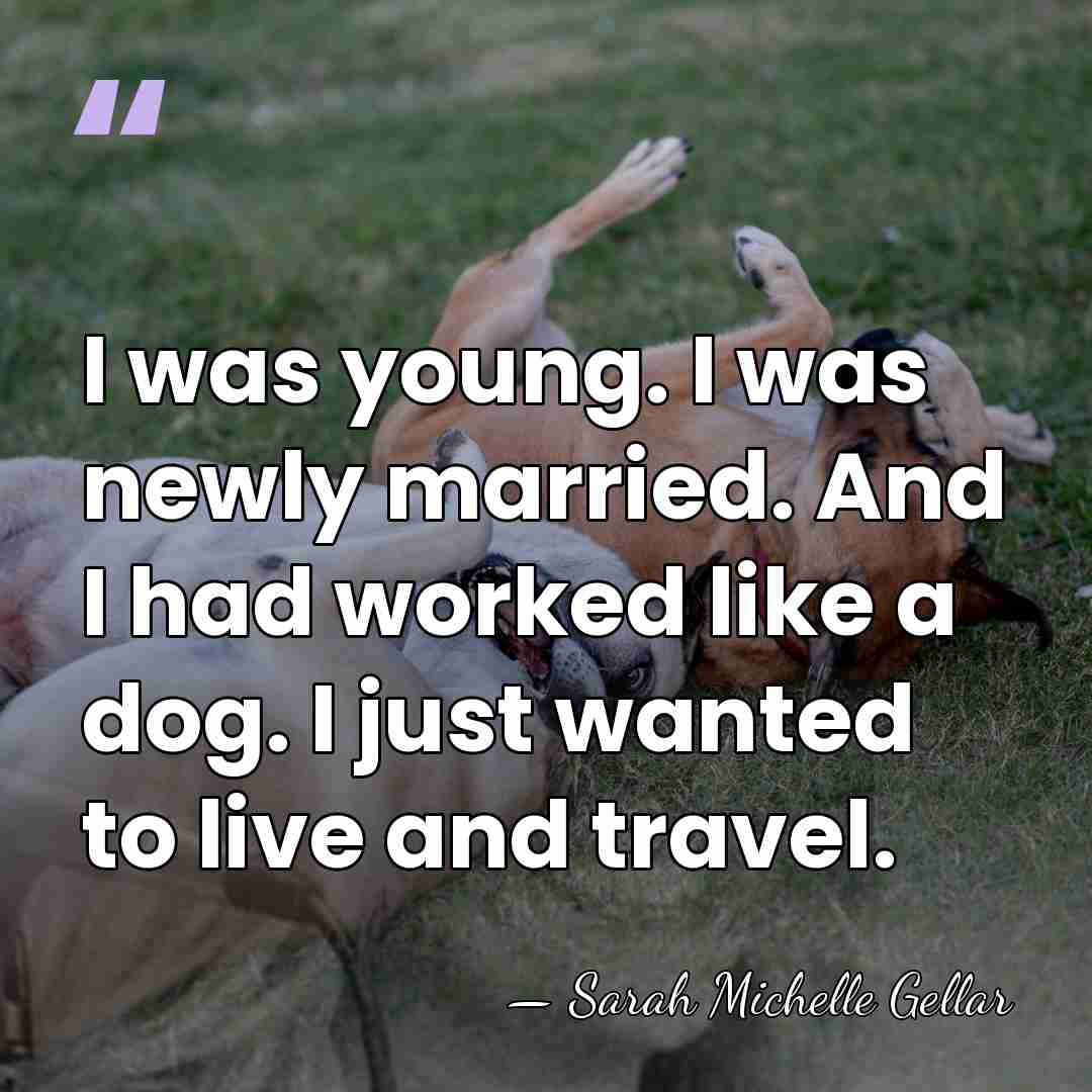 I was young. I was newly married. And I had worked like&hellip; - Sarah Michelle Gellar