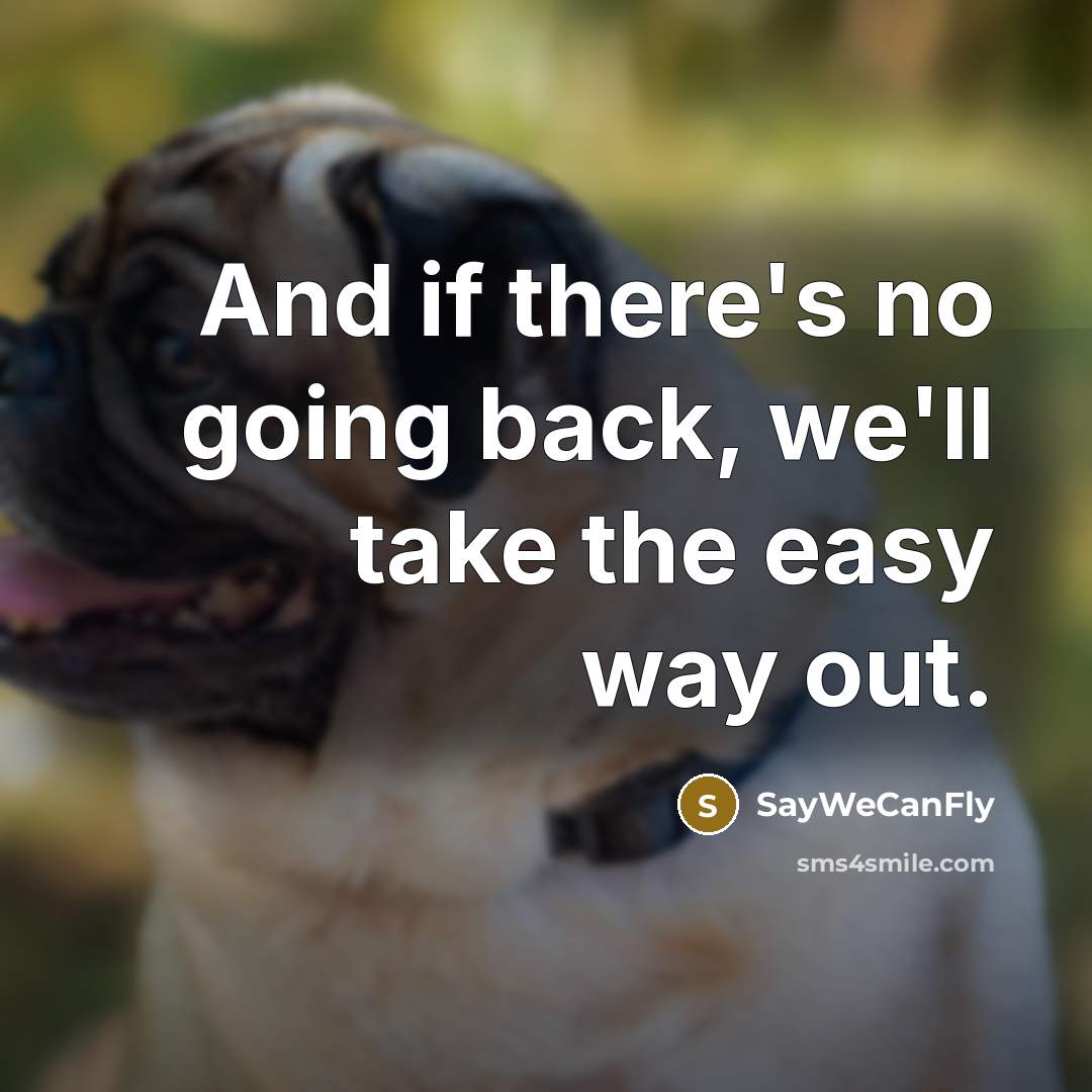 “And if there's no going back, we'll take the easy…” quote by SayWeCanFly