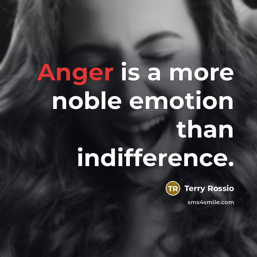 “Anger is a more noble emotion than indifference.…” quote by Terry Rossio