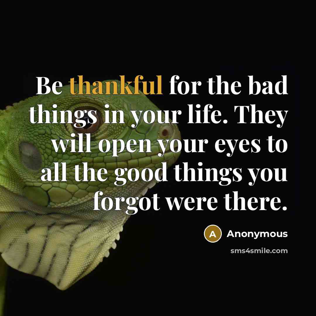 “Be thankful for the bad things in your life. They…” quote by Anonymous
