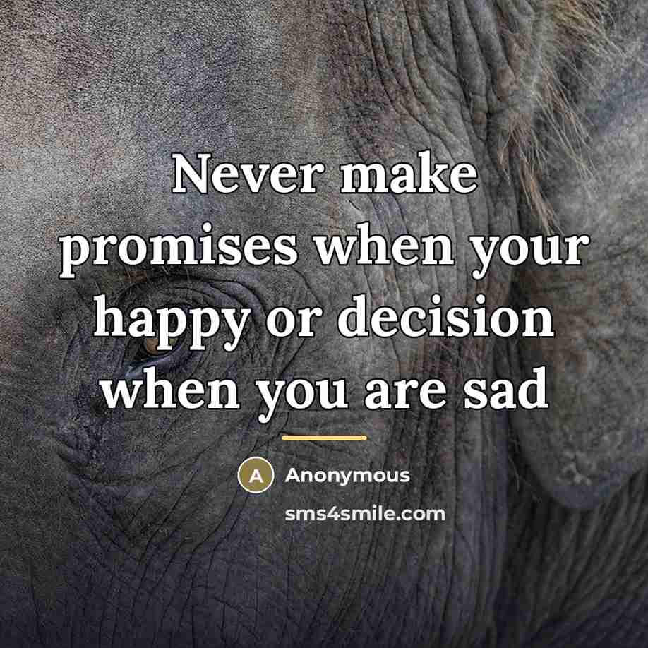 “Never make promises when your happy or decision when you…” quote by Anonymous