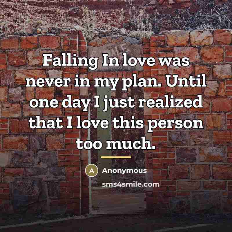 “Falling In love was never in my plan. Until one…” quote by Anonymous
