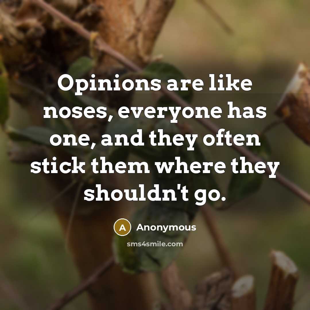 “Opinions are like noses, everyone has one, and they often stick them where they shouldn't go.” quote by Anonymous