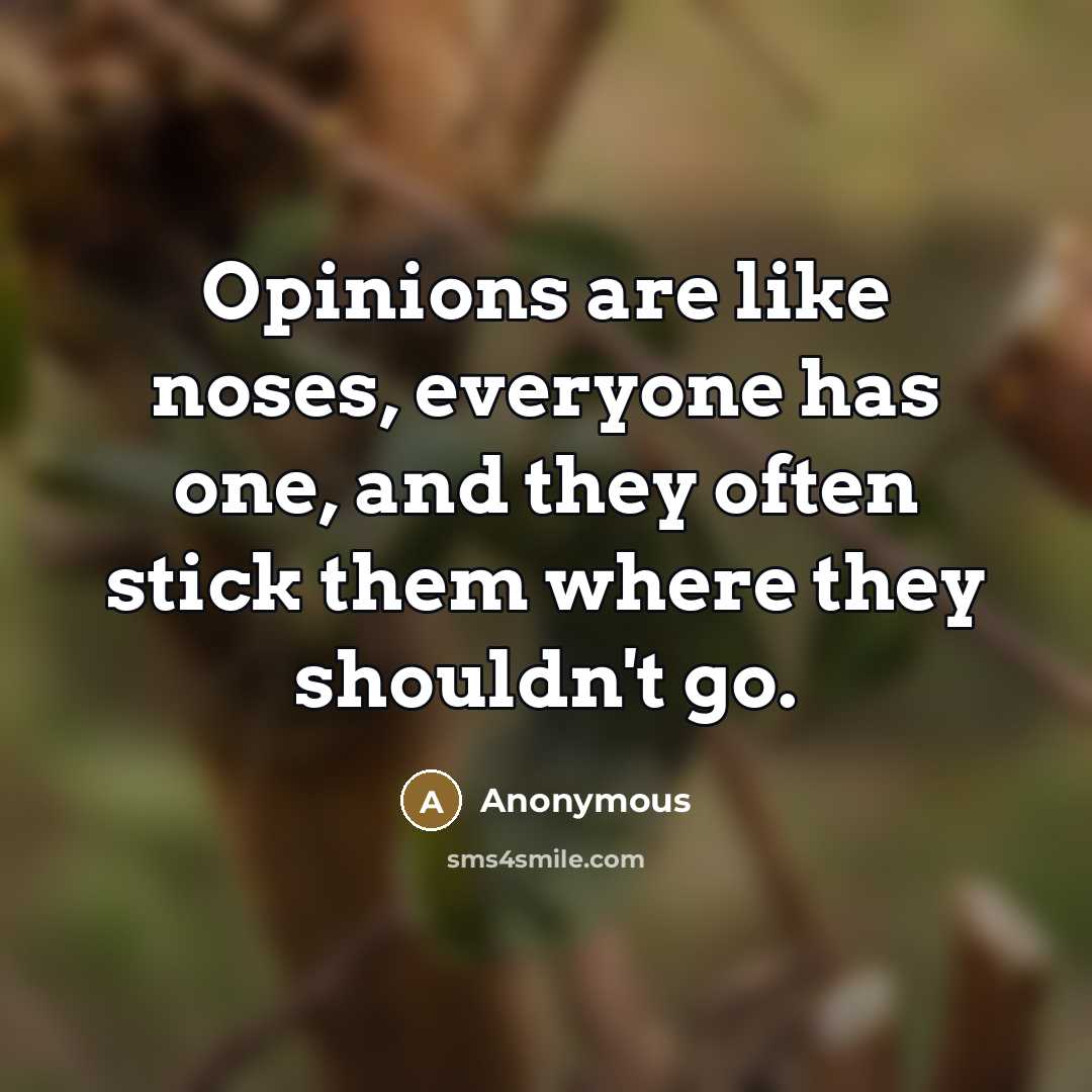 “Opinions are like noses, everyone has one, and they often stick them where they shouldn't go.” quote by Anonymous