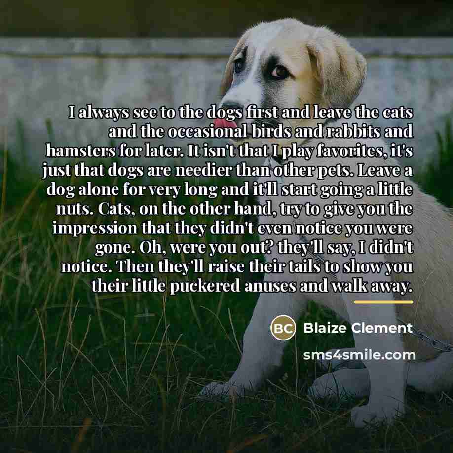 “I always see to the dogs first and leave the…” quote by Blaize Clement