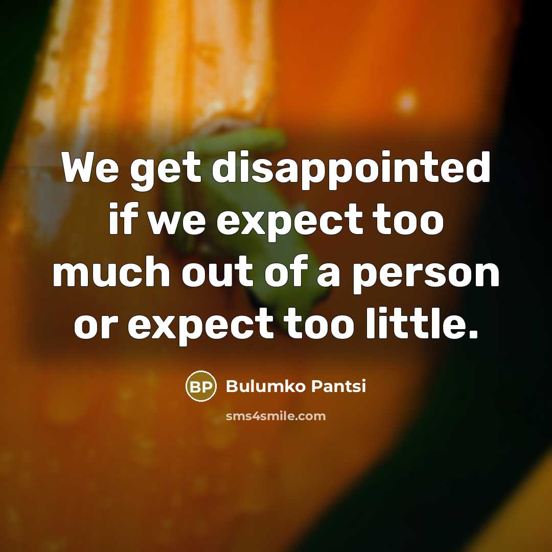 “We get disappointed if we expect too much out of…” quote by Bulumko Pantsi