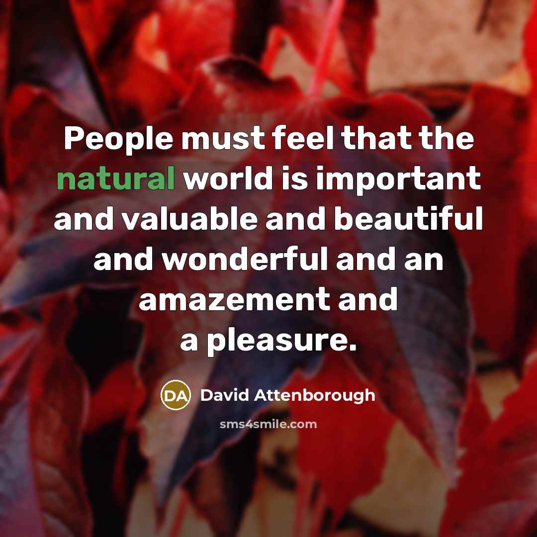 “People must feel that the natural world is important and…” quote by David Attenborough