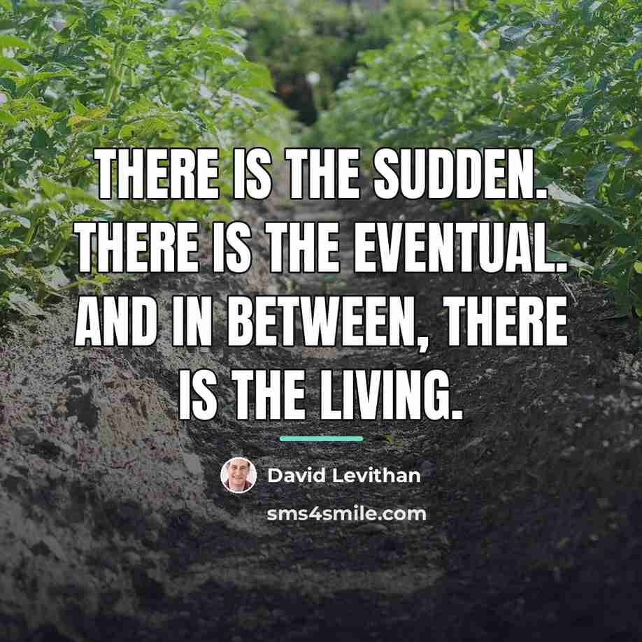 “There is the sudden. There is the eventual. And in…” quote by David Levithan
