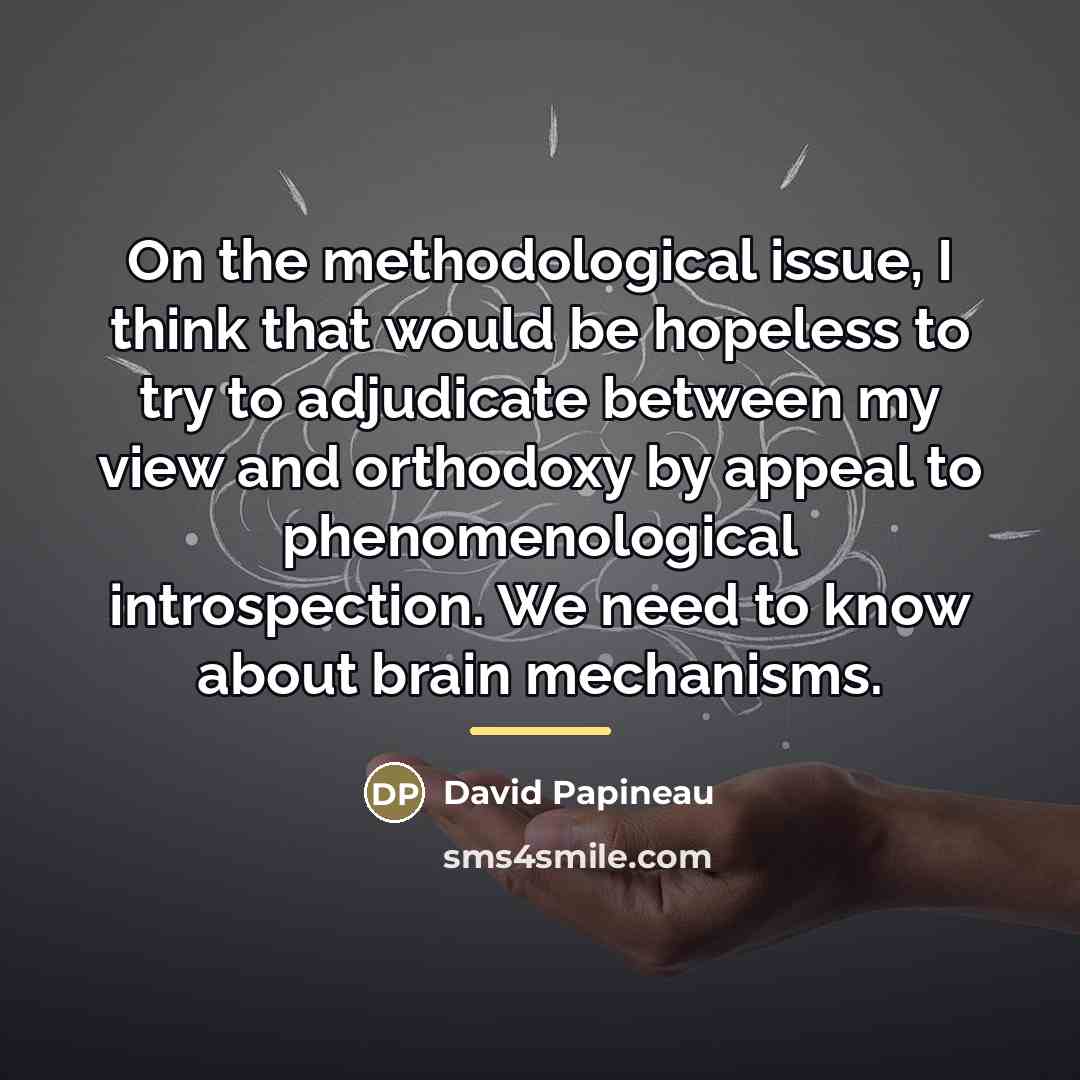 “On the methodological issue, I think that would be hopeless…” quote by David Papineau