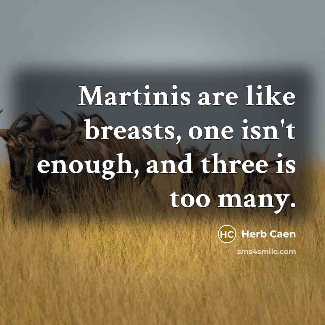 “Martinis are like breasts, one isn't enough, and three is…” quote by Herb Caen
