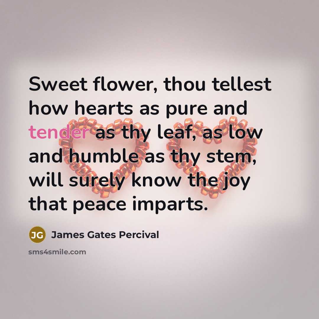 “Sweet flower, thou tellest how hearts as pure and tender…” quote by James Gates Percival