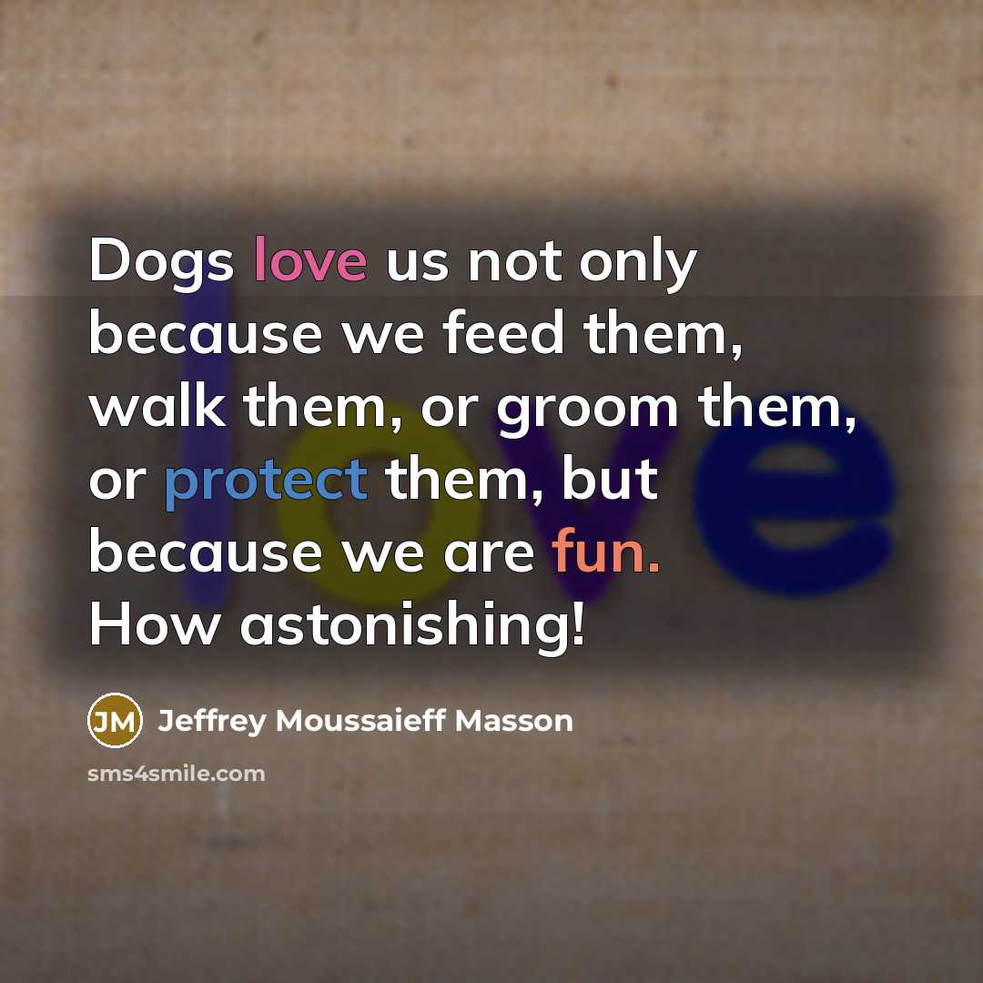 “Dogs love us not only because we feed them, walk…” quote by Jeffrey Moussaieff Masson