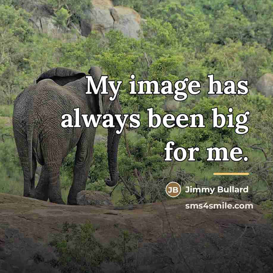 “My image has always been big for me.…” quote by Jimmy Bullard