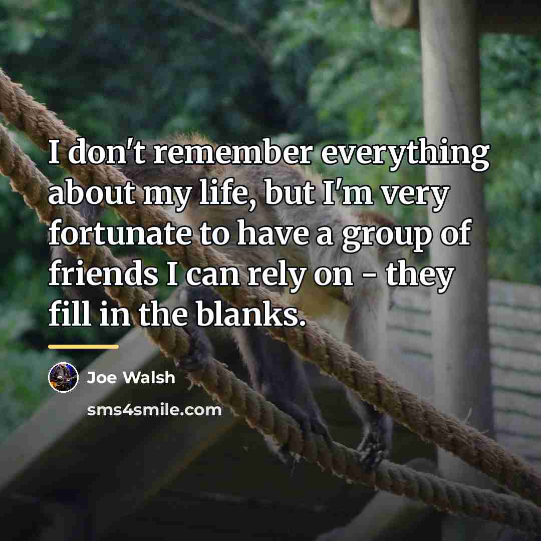 “I don't remember everything about my life, but I'm very…” quote by Joe Walsh