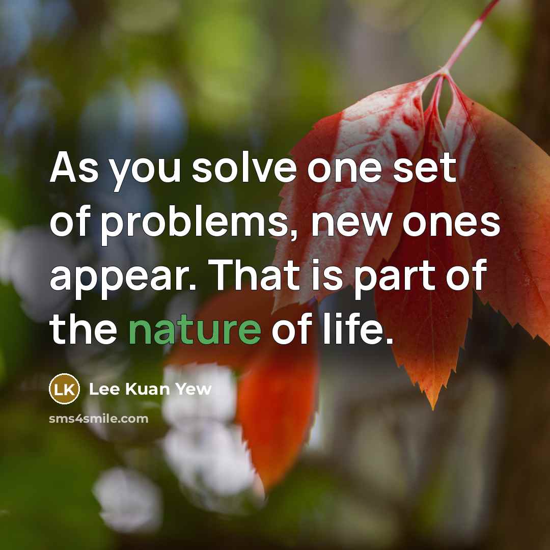 “As you solve one set of problems, new ones appear.…” quote by Lee Kuan Yew