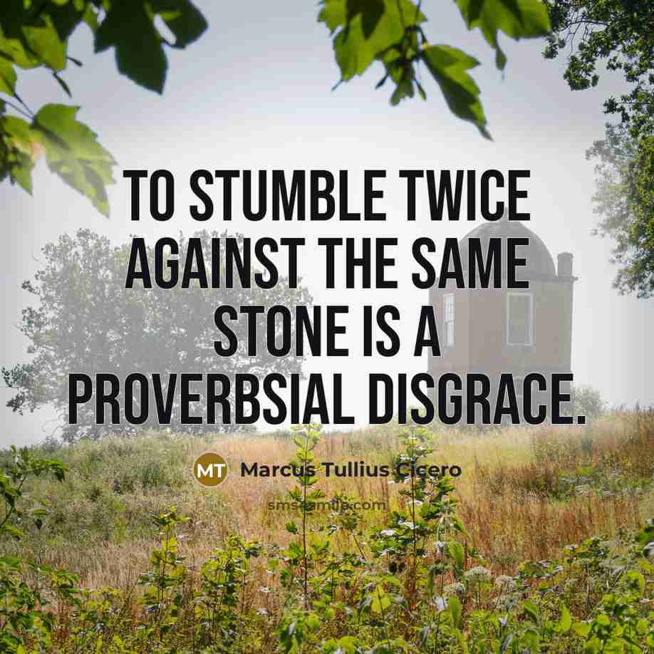 “To stumble twice against the same stone is a Proverbsial…” quote by Marcus Tullius Cicero