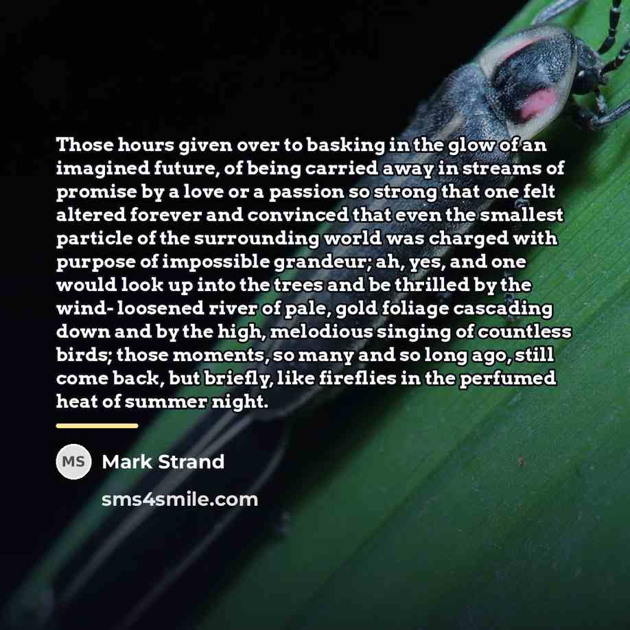 “Those hours given over to basking in the glow of…” quote by Mark Strand