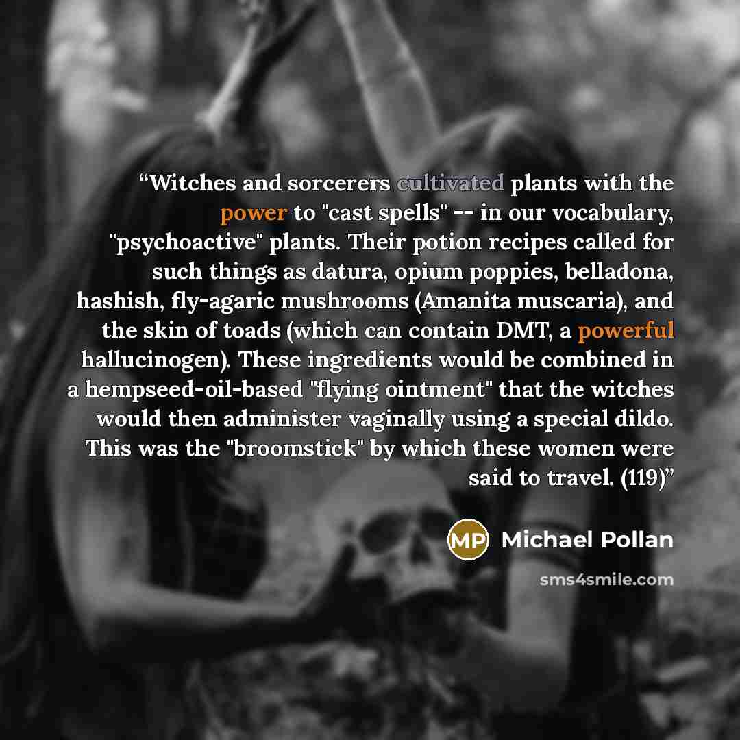 “Witches and sorcerers cultivated plants with the power to "cast spells" -- in our vocabulary, "psychoactive" plants. Their potion recipes called for such things as datura, opium poppies, belladona, hashish, fly-agaric mushrooms (Amanita muscaria), and the skin of toads (which can contain DMT, a…” quote by Michael Pollan