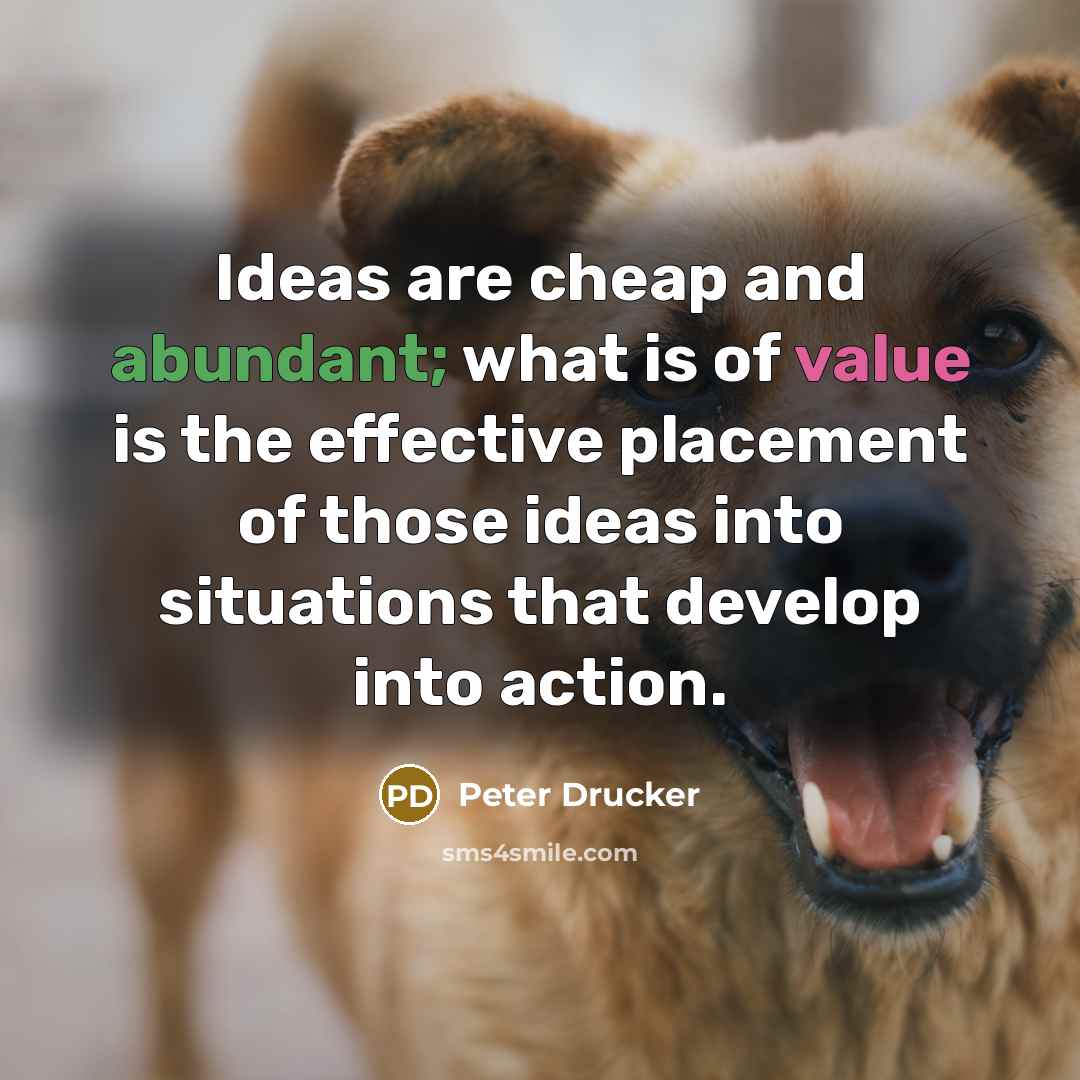 “Ideas are cheap and abundant; what is of value is…” quote by Peter Drucker
