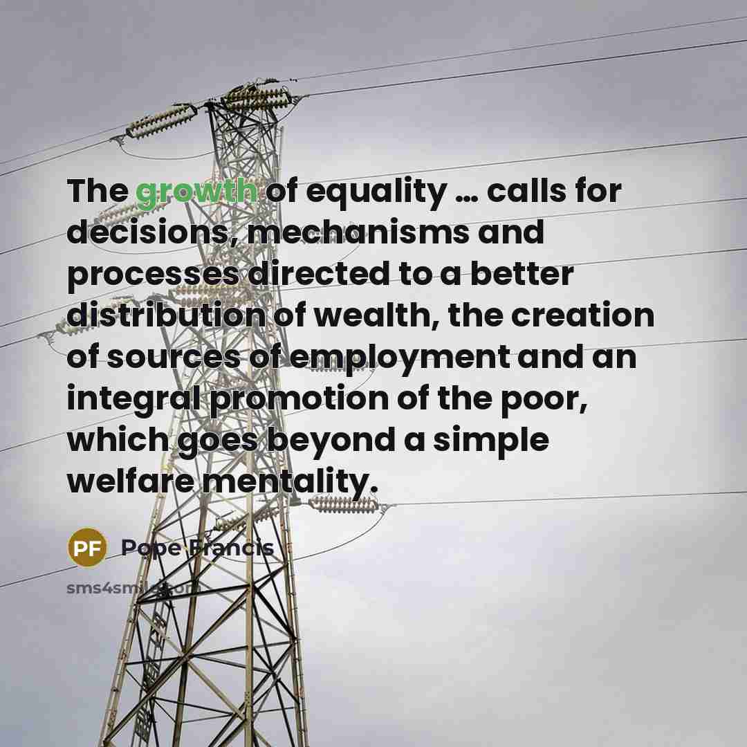 “The growth of equality … calls for decisions, mechanisms and…” quote by Pope Francis