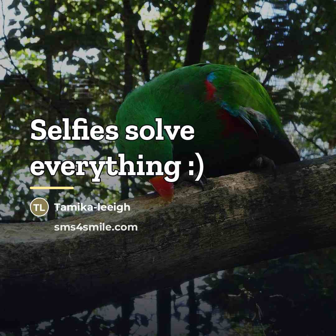 “Selfies solve everything :)…” quote by Tamika-leeigh