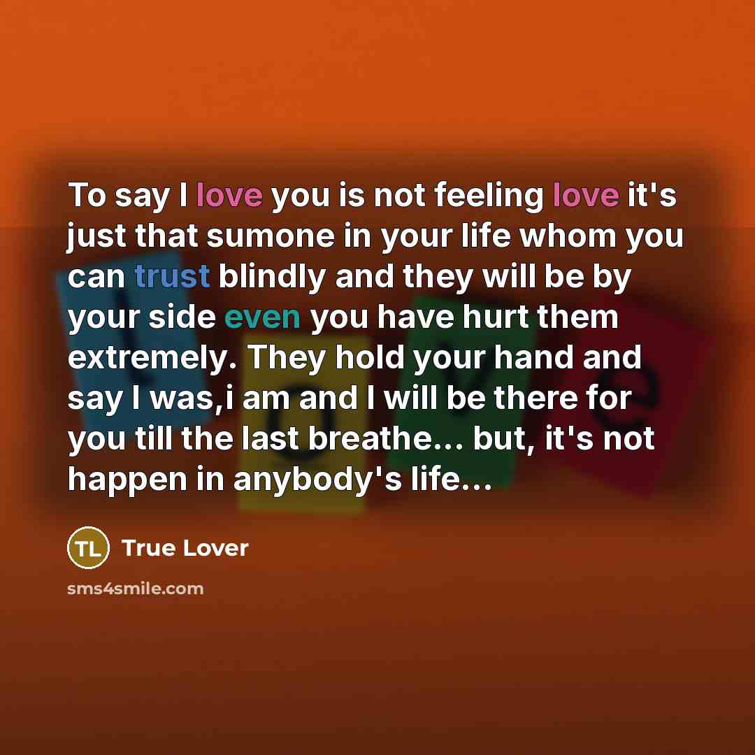 “To say I love you is not feeling love it's just that sumone in your life whom you can trust blindly and they will be by your side even you have hurt them extremely. They hold your hand and say I was,i am and I will be there for you till the last breathe... but, it's not happen in anybody's life…” quote by True Lover