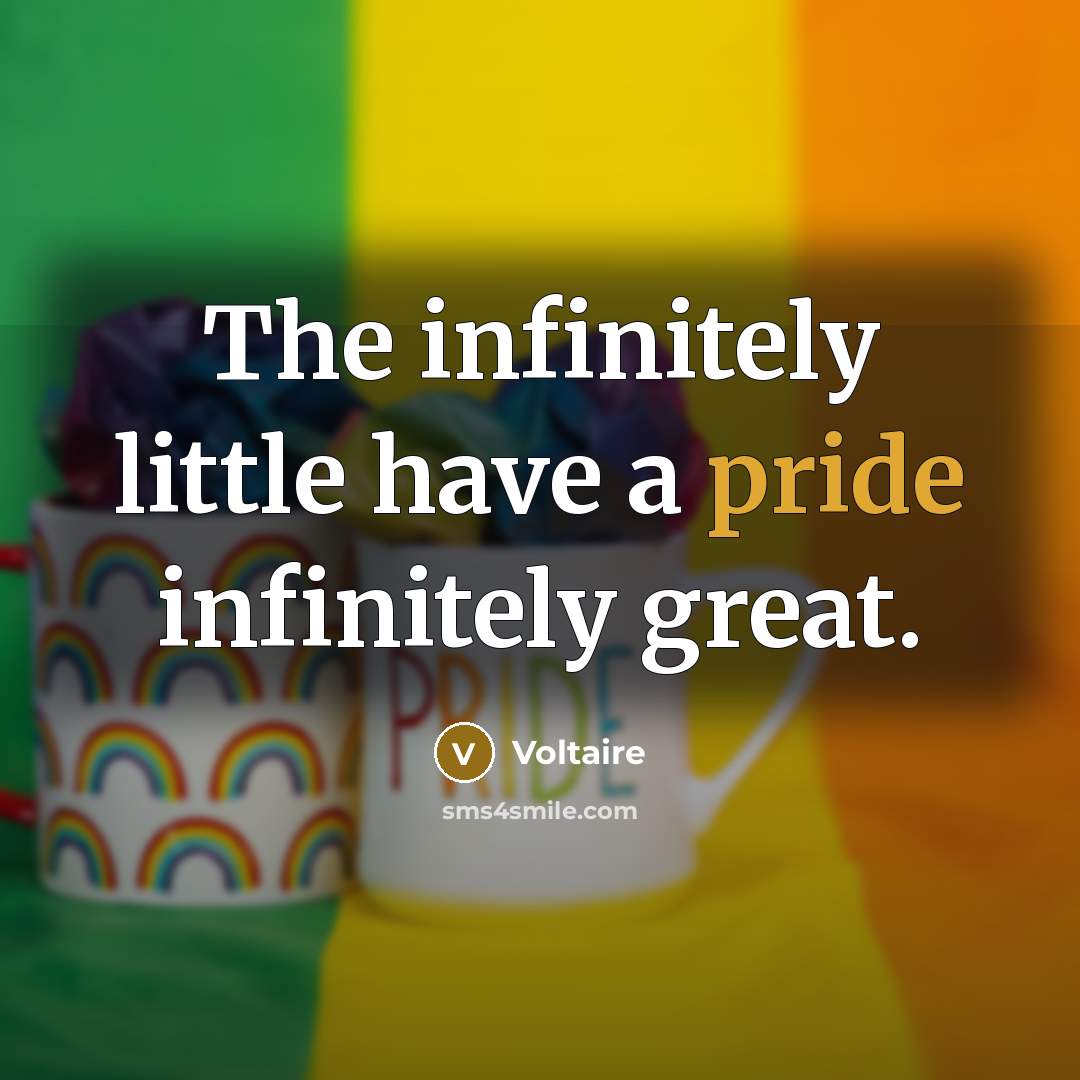 “The infinitely little have a pride infinitely great.…” quote by Voltaire
