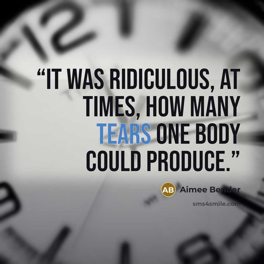 “It was ridiculous, at times, how many tears one body could produce.” quote by Aimee Bender