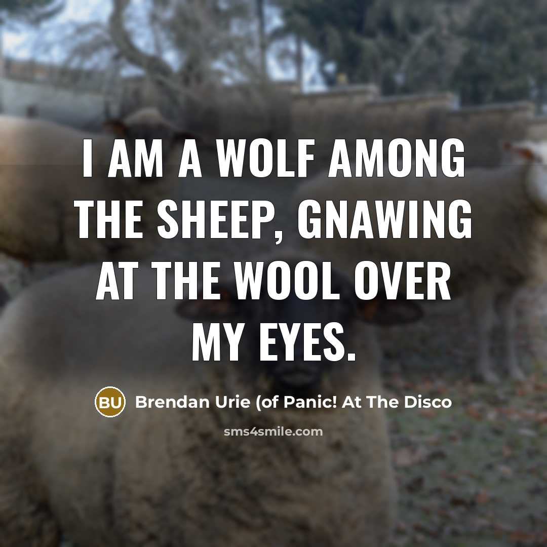 “I am a wolf among the sheep, gnawing at the…” quote by Brendan Urie (of Panic! At The Disco