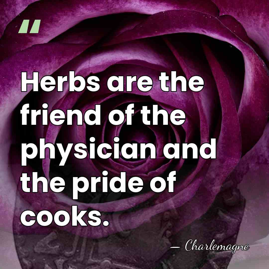 Herbs are the friend of the physician and the pride of cooks. - Charlemagne