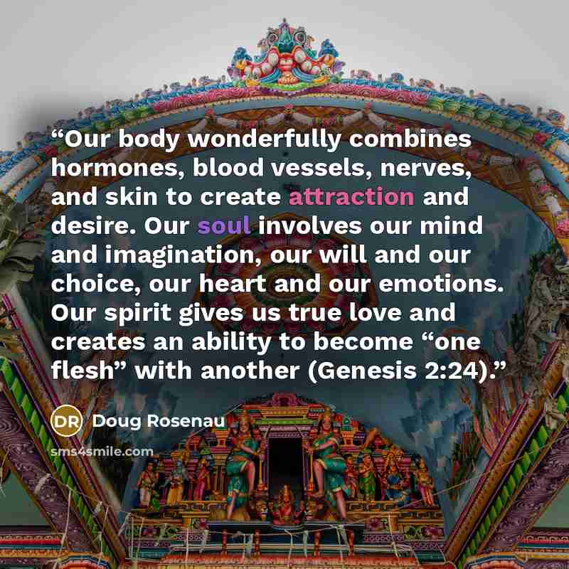“Our body wonderfully combines hormones, blood vessels, nerves, and skin to create attraction and desire. Our soul involves our mind and imagination, our will and our choice, our heart and our emotions. Our spirit gives us true love and creates an ability to become “one flesh” with another (Genesis…” quote by Doug Rosenau