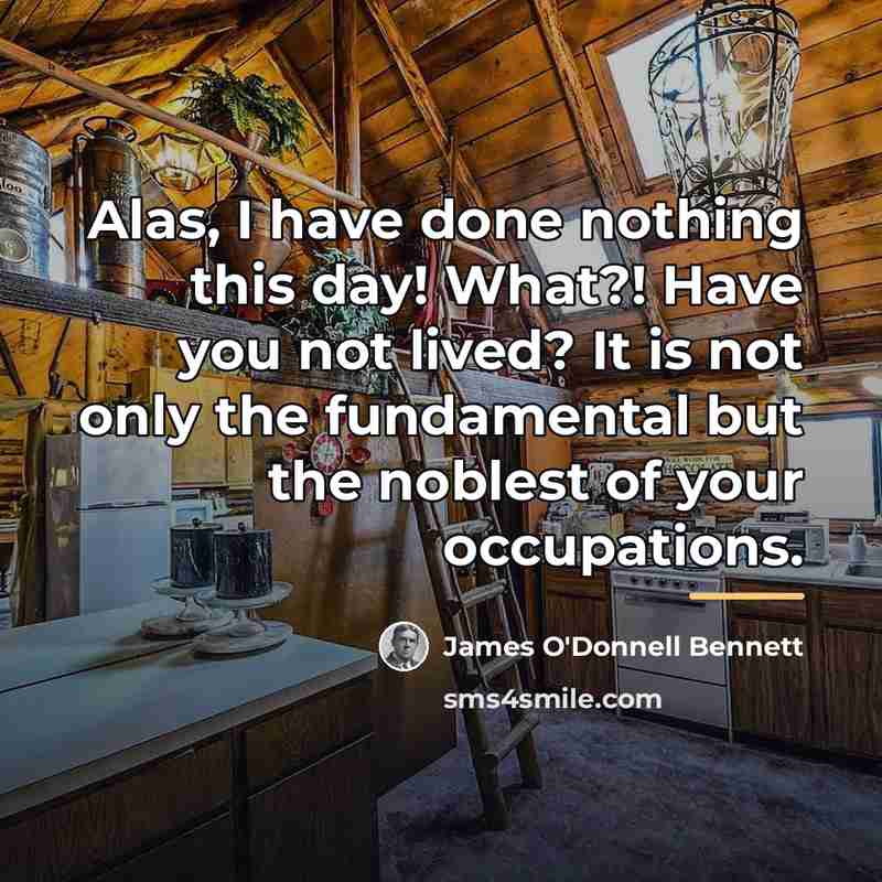 “Alas, I have done nothing this day! What?! Have you…” quote by James O'Donnell Bennett