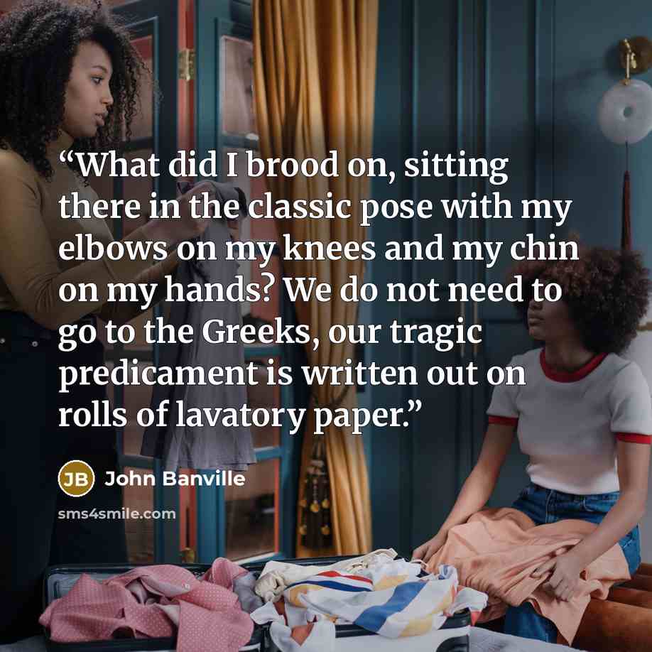 “What did I brood on, sitting there in the classic pose with my elbows on my knees and my chin on my hands? We do not need to go to the Greeks, our tragic predicament is written out on rolls of lavatory paper.” quote by John Banville